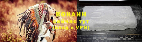 PSILOCYBIN Богданович