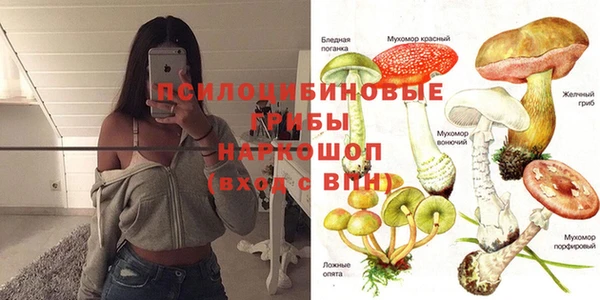 мдпв Белокуриха