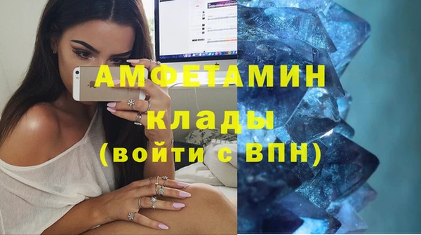 мдпв Богородск