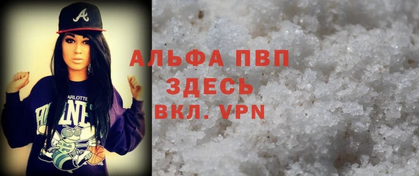 PSILOCYBIN Богданович